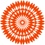 corel draw color pattern